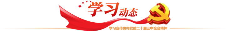 28预测